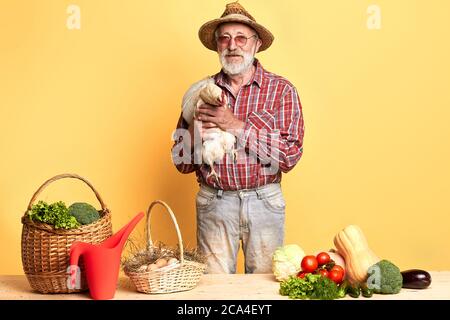 Senior male gray-haired farmer presenting homegrown harvest of fresh vegetables, holding in hands white hen, dressed in straw hat, shirt and jeans. St Stock Photo