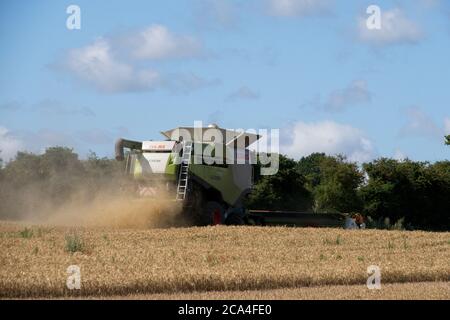 Winter Harvest combined harvester at work in field Dusty Sunny cloudy sky Fields Trees Landscape format Stock Photo