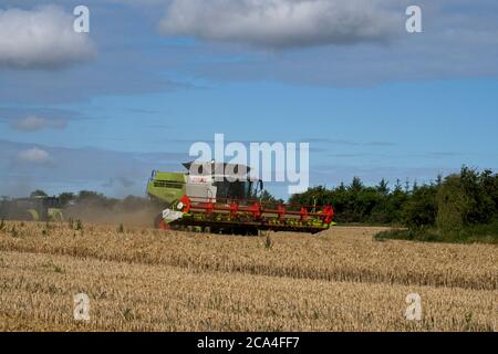 Winter Harvest combined harvester at work in field Dusty Sunny cloudy sky Fields Trees Landscape format Stock Photo