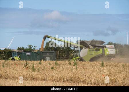 Winter Harvest combined harvester at work in field Dusty Sunny cloudy sky Fields Trees Landscape format Stock Photo