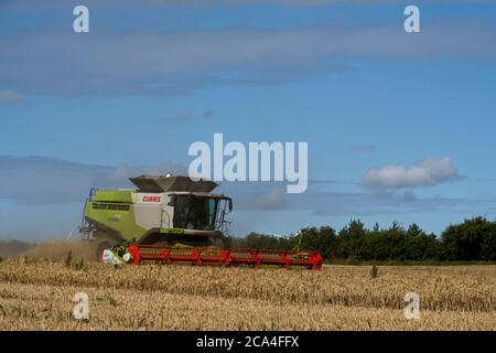 Winter Harvest combined harvester at work in field Dusty Sunny cloudy sky Fields Trees Landscape format Stock Photo