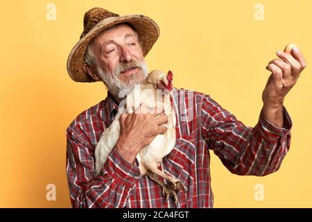 Close up view of friendly senior farmer looking proudly at fresh egg, holding in hand small hen, inspecting hen coops and collecting eggs for sale on Stock Photo
