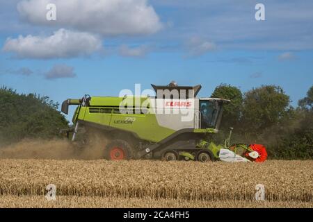 Winter Harvest combined harvester at work in field Dusty Sunny cloudy sky Fields Trees Landscape format Stock Photo