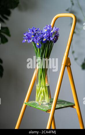 Close up of bouquet of purple irises in glass vase, standing on stepladder in flower store. Stock Photo