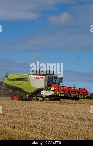 Winter Harvest combined harvester at work in field Dusty Sunny cloudy sky Fields Trees and houses in distance Portrait format Stock Photo