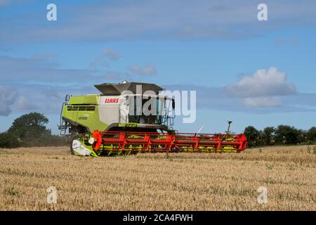 Winter Harvest combined harvester at work in field Dusty Sunny cloudy sky Fields Trees and houses in distance Landscape format Stock Photo