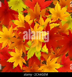 Autumn falling leaves background template with red, orange, brown and yellow maple leaves. Vector illustration poster, frame, web banner Stock Vector