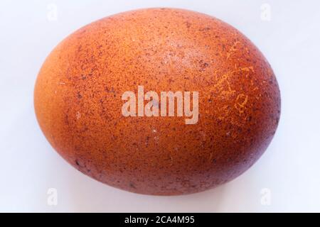 M&S British Farmed Free Range Maran Island Brown Egg - from hens that roam freely in lush pasture amongst the trees and hedgerows Stock Photo
