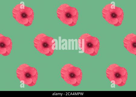 Dark pink "Poppy" flowers aligned diagonally and isolated against a dark mint green colour background. Vintage style and the 80's. Stock Photo