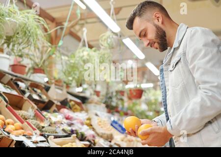 Content young bearded man in denim jacket standing at food counter and choosing between two oranges Stock Photo