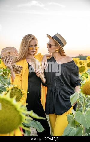 Two stylish young, fashion blonde hair girls, sisters in a sunflower field. Stock Photo