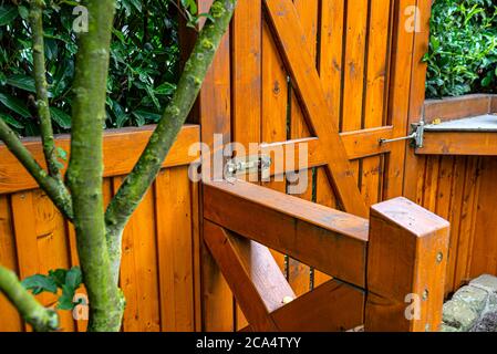 Wooden gate and fence on the back of the home garden. The gate is closed with a padlock. Stock Photo