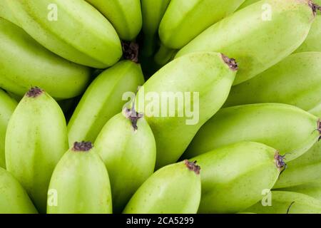 green  raw Golden bananas  on white background healthy Pisang Mas Banana fruit food isolated Stock Photo