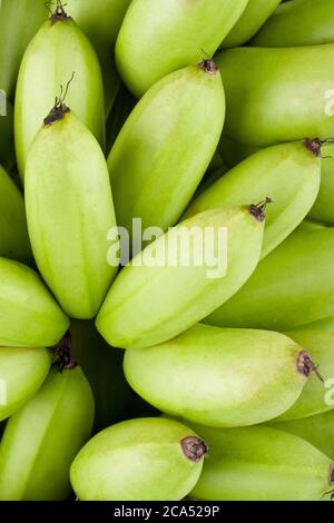 oganic green  raw egg bananas  on white background healthy Pisang Mas Banana fruit food isolated Stock Photo