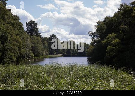 Egham, UK. 3rd August, 2020. Virginia Water Lake is pictured from the edge of Wick Pond. Virginia Water Lake, in Windsor Great Park, became the larges Stock Photo