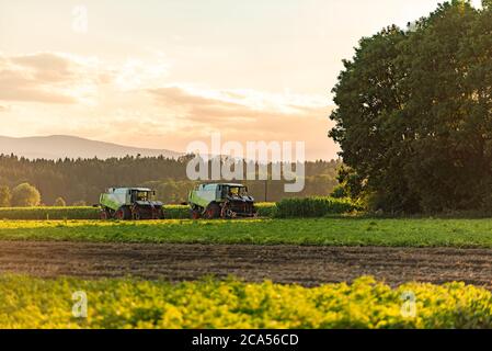 Large combine harvesters standing in agricultural field at summertime. Stock Photo