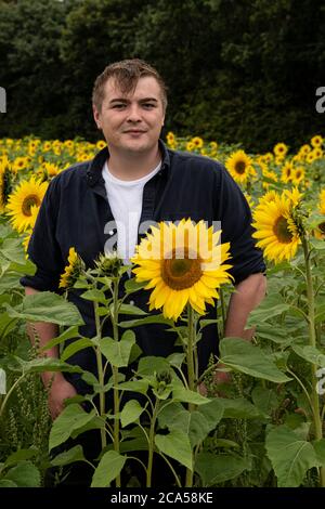 Truro, Cornwall, UK. 4th August, 2020. Cornwall field containing Field of sunflowers Cornwall more than 275,000 sunflowers near Truro will open this Friday, Saturday and Sunday for the public to enjoy and to help raise funds for Sowenna, Cornwall's mental health unit for young, people. Credit: kathleen white/Alamy Live News Stock Photo