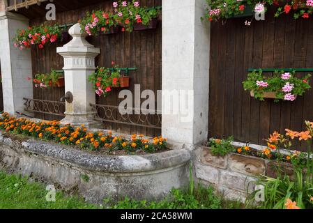France, Haute Saone, Fresse, village, wash house Stock Photo