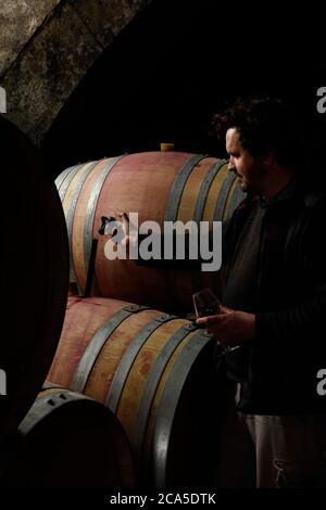 France, Gard (30), Beaucaire, Mourgues du Gres winery, interior of a cellar for conservation and winemaking, cellar master in full wine tasting Stock Photo