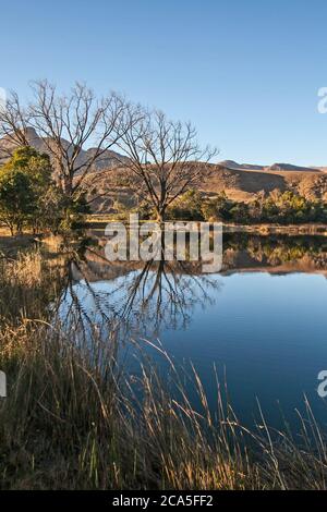 Scenic reflections in a Drakensberg lake 11056 Stock Photo