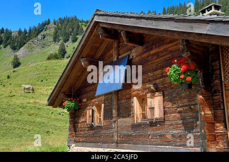 Switzerland, Canton of Vaud, Villars-sur-Ollon, hike from the Bretaye pass to the Croix pass passing through the hamlet of Ensex, chalet with photovoltaic solar panel in the hamlet of Ensex Stock Photo