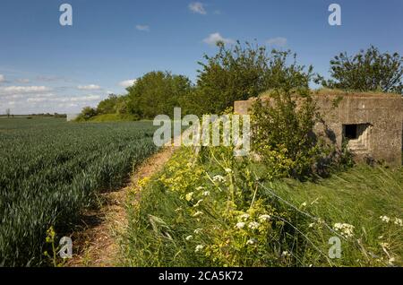 World war two pillbox  field defence bunker in Chislet, Kent, England. Stock Photo