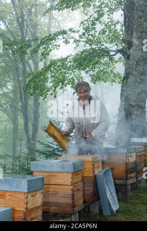 France, Ariege, Ariege Pyrenees Regional Natural Park, Couserans, Taurignan Vieux, Pyrenean beekeeper during his work on hives and honey Stock Photo