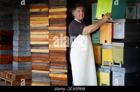 France, Ariege, Ariege Pyrenees Regional Natural Park, Couserans, Taurignan Vieux, Pyrenean beekeeper during his work on hives and honey Stock Photo