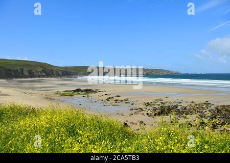 France, Finist?re, Iroise sea, Cap Sizun, Plogoff, the Pointe du Raz and the Lighthouse of La Vieille seen from the beach of the Baie des Tr?pass?s, Classified Great National Site Stock Photo