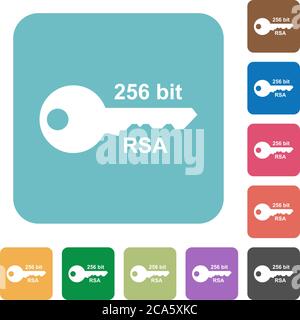 256 bit rsa encryption white flat icons on color rounded square backgrounds Stock Vector