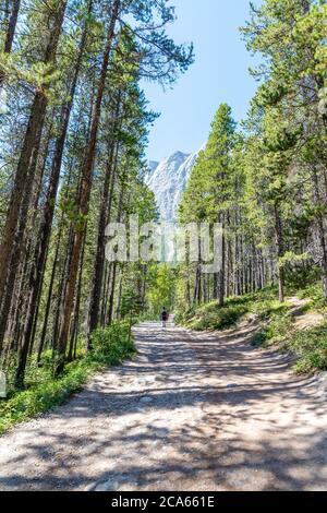 Tall pine trees surround the picturesque trail at Grassi Lakes in the Kananaskis country of Canmore, with the east end of Mount Rundle visible in the Stock Photo