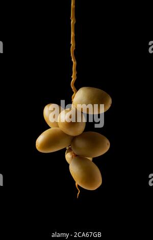 yellow fresh dates fruit isolate on black background Stock Photo