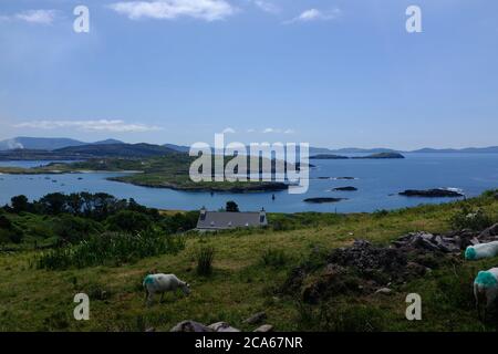 Walking the Kerry Way in 2019 in count Kerry in the south of Ireland looping around the Iveragh Peninsula section Caherdaniel to Waterville Stock Photo