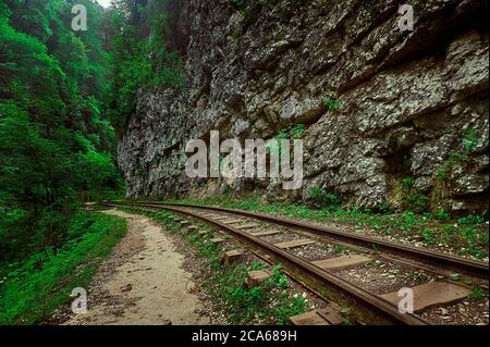 A train on a train track with trees in the background Stock Photo
