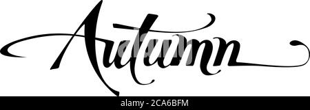 Custom calligraphy text Stock Vector