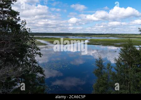 Cloud reflection in Okhotnichye (Hunters) Lake. Eco route in the 'Rakovyye ozera' (Crayfish lakes) nature reserve, Leningrad region, Russia Stock Photo