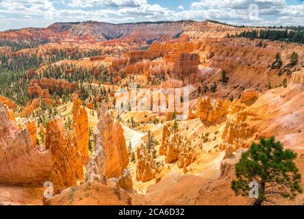 Amphitheater at Bryce Canyon, Utah USA Stock Photo