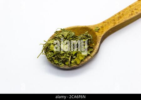 Kasuri Methi refers to dried leaves of the fenugreek plant. It is an herb with a bitter but addictive taste. Used as a spice in Indian cuisine Stock Photo