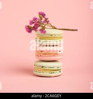 Three tasty french colored macarons and beautiful pink flowers above on the bright background. Colorful macarons. Front view. Stock Photo