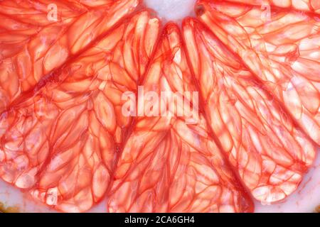 Pink Grapefruit - Close Up Stock Photo