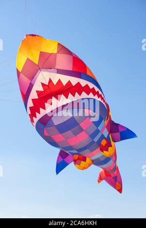 https://l450v.alamy.com/450v/2ca6hkh/big-colorful-shark-kite-flying-in-the-blue-sky-2ca6hkh.jpg