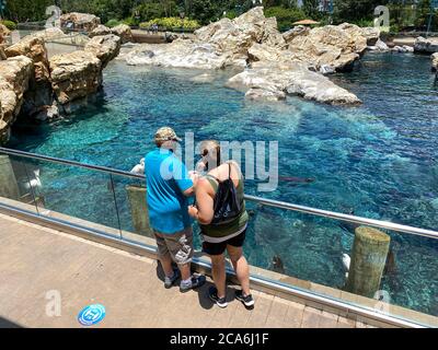 Orlando,FL/USA- 7/12/20: A man and woman feeding fish to the harbor seals and sea lions  at the Pacific Point Preserve enclosure at Seaworld in Orland Stock Photo