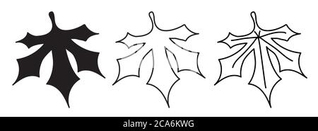 Botany. Tree leaves. Different versions of the pattern - outline, silhouette and leaf with veins. Element for design and decor, logo. Vector. Isolated Stock Vector