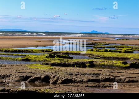 anciant peat beds Tywyn Stock Photo