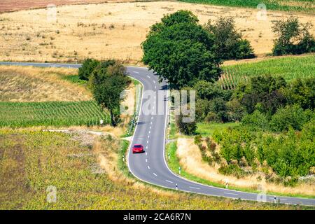 Country road, by car, sunflower field southeast of Nideggen, in the Rur-Eifel, NRW, Germany, Stock Photo