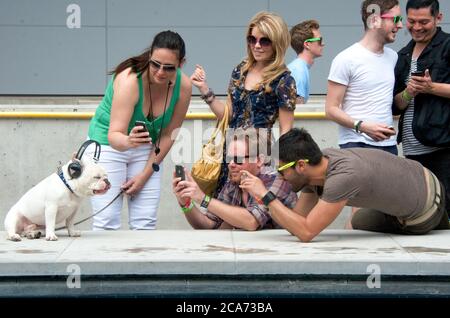 March 18, 2012, Austin, Texas, USA: Elvis the dog attends the NYLON Party SXSW - Day 9. (Credit Image: © Billy Bennight/ZUMA Wire) Stock Photo