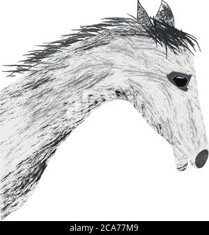 Hand sketch horse head. Beautiful arabian stallion sketch icon for horse breeding symbol, equestrian or riding club emblem design. Front view of a hea Stock Vector
