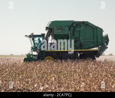 A cotton harvester at work on a cotton farm in the Central Valley, California Stock Photo