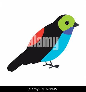 Paradise tanager bird illustration. Vector illustration isolated. Stock Vector