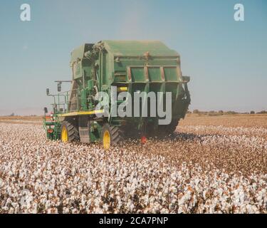 A cotton harvester at work on a cotton farm in the Central Valley, California Stock Photo